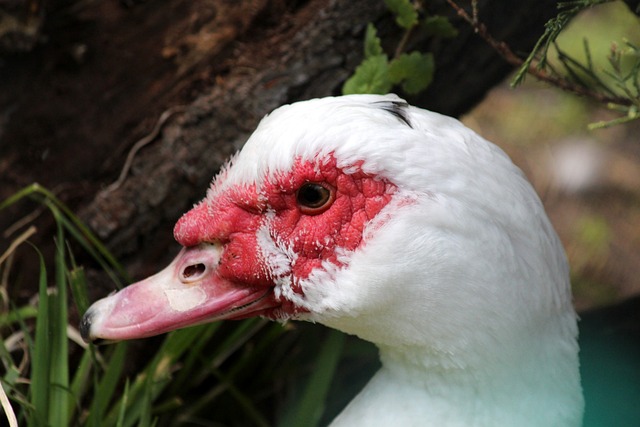 已经成为了 已经成为了