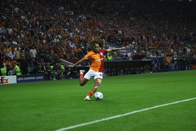 他的毅力无 他的毅力无