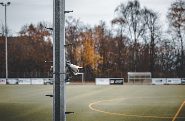 的较量来看 的较量来看