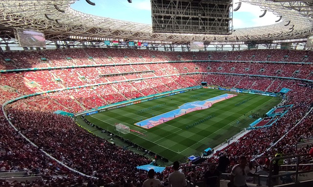 他不仅是球 他不仅是球