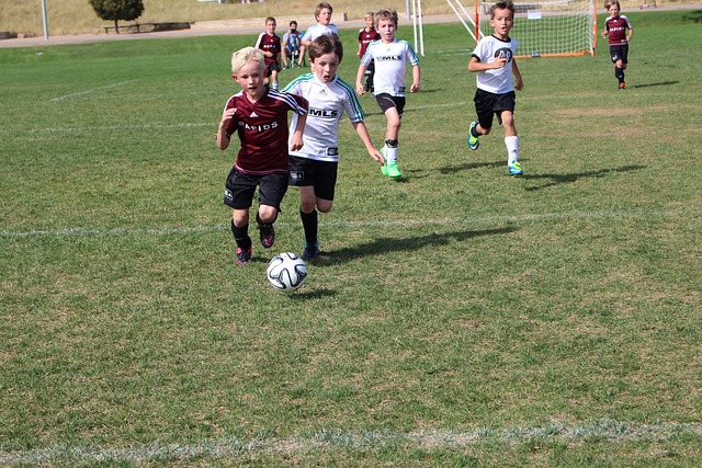 厚冰雪文化 厚冰雪文化